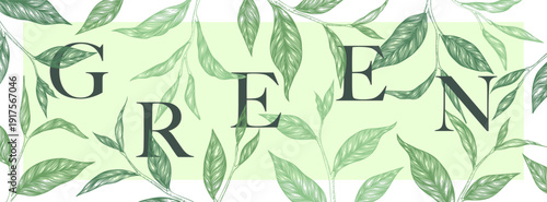 Vector illustration with green hand drawn tea leaves, branches isolated on white background. Modern botanical design template for poster print, wall decor, banner, card. Trendy minimal style
