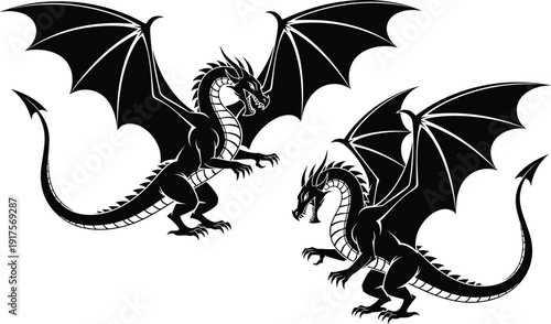 Black silhouette of two mythical dragons with wings spread, aggressive fantasy creatures fighting, monster silhouettes isolated on a white background