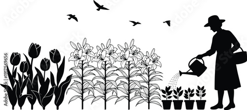 Woman Watering Flowers in Garden Silhouette Featuring Tulips Lilies Potted Plants and Flying Birds for Springtime Horticulture and Outdoor Wellness Concept