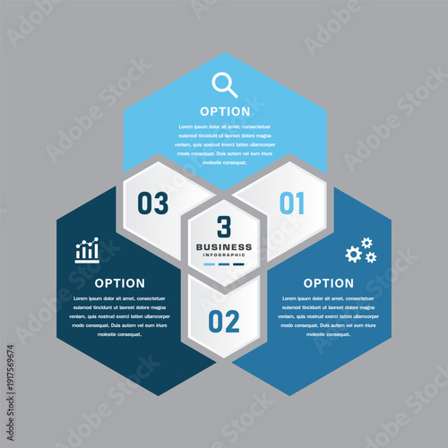 Hexagonal business infographic with central hub and three options