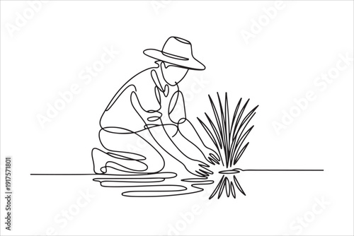 Continuous Line Art of a Farmer Planting Rice vector, Farmer Planting Rice Seedlings, Continuous Line Art