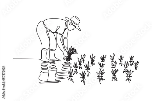 Farmer Planting Rice Seedlings, Continuous Line Art. Continuous line  drawing of a farmer wearing a hat planting rice seedlings in a paddy field,