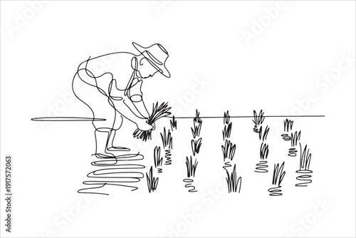 Farmer Planting Rice Seedlings, Continuous Line Art. Continuous line  drawing of a farmer wearing a hat planting rice seedlings in a paddy field,