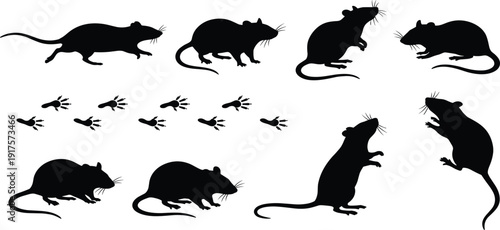 Black Silhouette Set of Rats and Mice in Various Poses with Footprint Tracks for Pest Control Wildlife Education and Rodent Vector Illustration