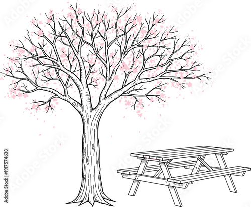 Blooming cherry blossom tree with pink flowers, wooden picnic table in park, spring season illustration, outdoor leisure activities, nature background.