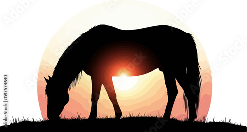 Dark horse silhouette grazing in a field against a warm sunset