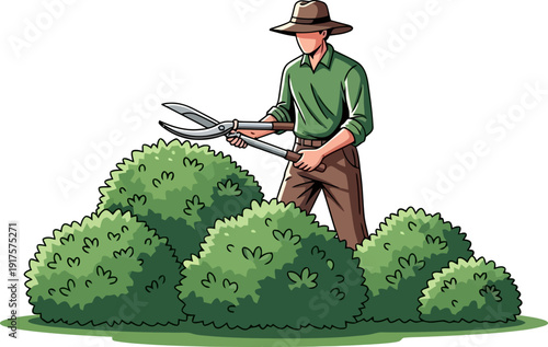 Gardener trimming green bushes with large hedge shears