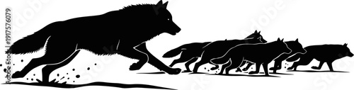 Pack of wolves running together in a hunting chase silhouette