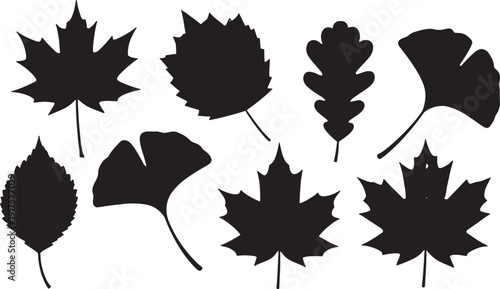 Large collection of black leaf silhouettes featuring various species like maple oak and fern isolated on white background