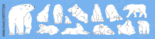 Set of cute white polar bears. Funny mother and babies North animals sleep. Happy characters of Antarctica walk, relax with cubs, have fun and rest in snow. Flat isolated vector illustrations