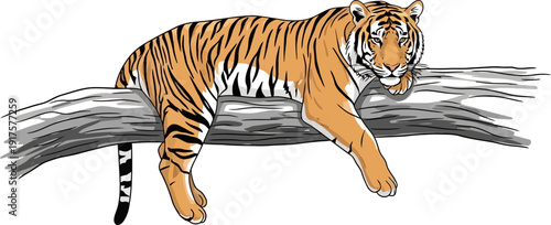 Tiger resting on tree branch illustration