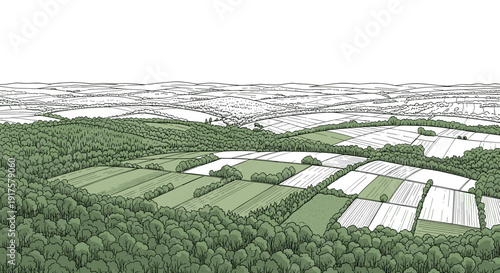 Serene countryside landscape with rolling hills and fields