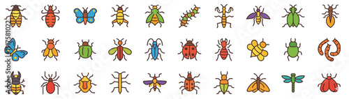 Vibrant insect illustrations showcasing various species and colors from a top-down viewpoint