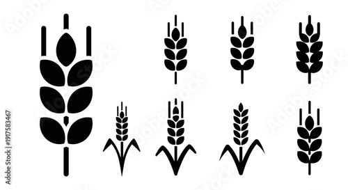 Set of wheat icons in minimalist silhouette style for agriculture and farming design