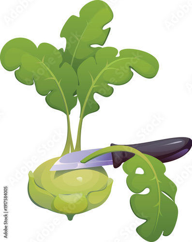 Green kohlrabi vegetable being cut with kitchen knife. Vector fresh leafy vegetable during food preparation process. Cartoon cooking food scene with cabbage head and sliced leaves for culinary recipe
