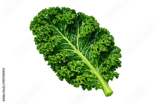 Fresh green curly kale leaf, superfood delivering nutrition for healthy eating and vegan diet, transparent background