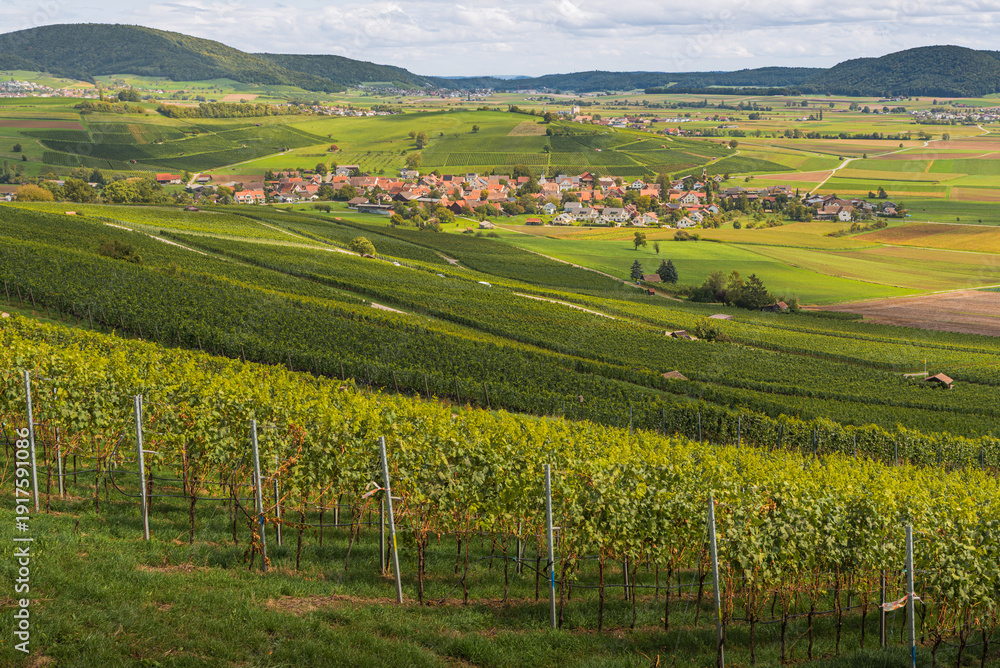 Obraz premium Panoramic view of the vineyards of the Klettgau wine region and the village of Oberhallau, Canton of Schaffhausen, Switzerland