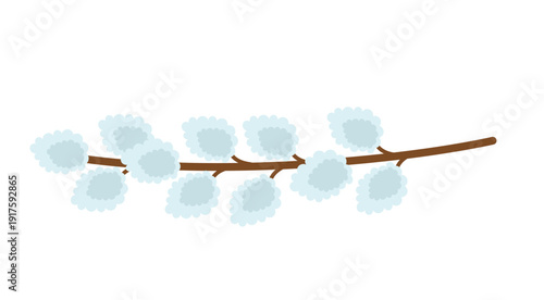 Pussy willow spring vector illustration on white background. Willow branch with soft catkins in naive art style.