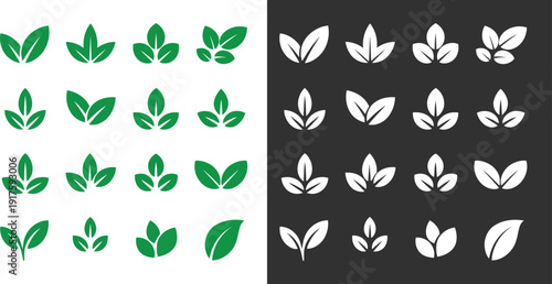 Collection of various green and white leaf illustrations displayed side by side on contrasting backgrounds viewed from a straightforward perspective