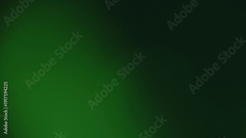 light leak and bokeh overlay creating a soft, atmospheric green glow. Perfect for adding mood or texture to creative projects.