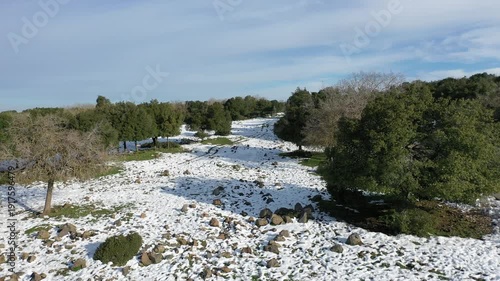 Aerial view of the odem Forest in the Golan Heights in winter with the ground covered in snow