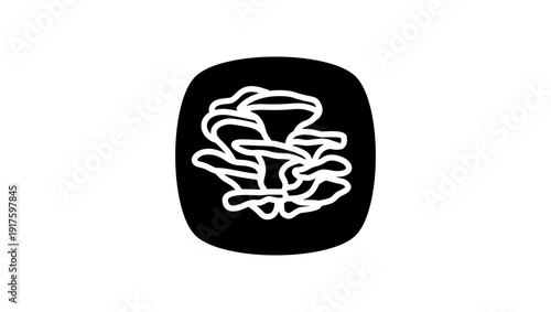 oyster mushroom, black isolated silhouette