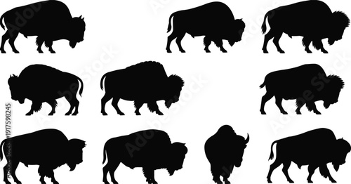 American bison silhouette collection on white background, black buffalo group isolated, wild animal nature design elements for western prairie projects,