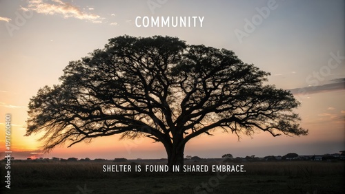 Majestic Tree at Sunset Symbolizing Community and Shelter Within Shared Embrace