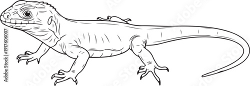 Detailed Line Drawing of a Lizard Illustration on White Background , Generative Ai