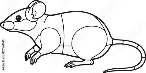 Outline illustration of a mouse with segmented body parts, suggesting internal structure or sections, on a white background. , Generative Ai