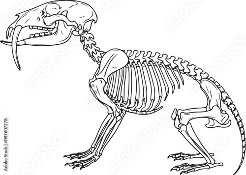 Line art of a beaver skeleton, highlighting its unique skeletal features like strong teeth and build, on a white background. , Generative Ai