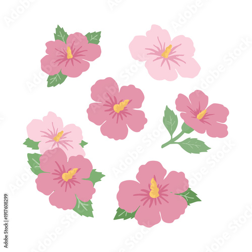 Mugunghwa Flower Illustration Set