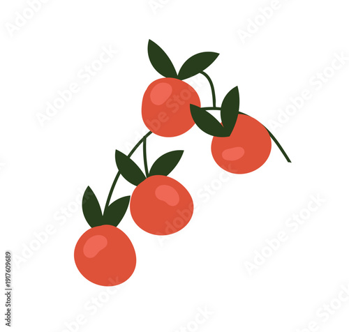 Cherry tomato, vegetable branch. Fresh organic healthy food growing. Farm plant with red ripe fruits, leaf. Natural agriculture harvest. Flat vector illustration isolated on white background