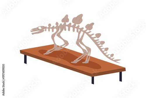 Dinosaur skeleton fossils display. Prehistoric animal bones, paleontology and archeology museum exhibit. Extinct reptile from jurassic period. Flat vector illustration isolated on white background