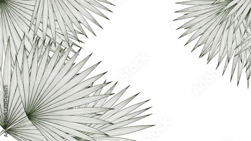 Artistic background composed of detailed palm leaves in various shades of green creates a lush tropical and natural feel.