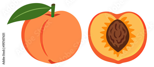 Flat design peach fruit set featuring a whole fruit and a halved fruit with a pit for healthy food concepts