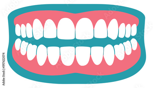 Stylized dental illustration set featuring a full set of healthy human teeth and gums for oral hygiene and dental care concepts