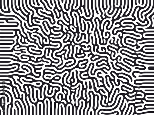 Fotografía Abstract Black and White Organic Pattern with Rounded Lines and Shapes