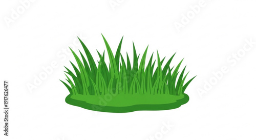 Green grass clump on white background for design