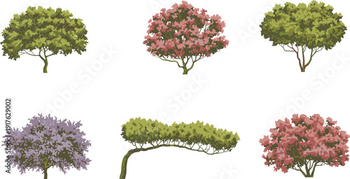 Decorative garden trees collection with green and flowering ornamental plants vector illustration isolated on white background