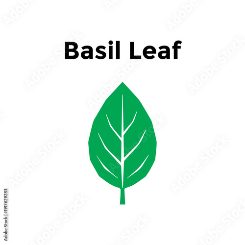 Basil leaf herb illustration flat vector design for culinary and cooking icon.