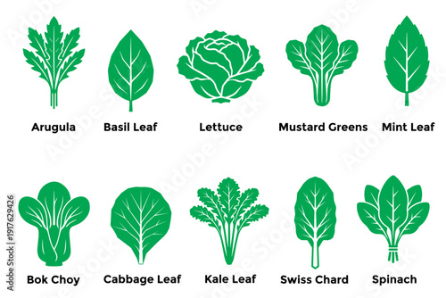 Leafy green vegetable collection set with flat design for healthy organic food branding.