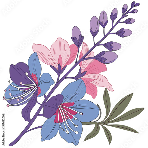 delphinium colorful on white background