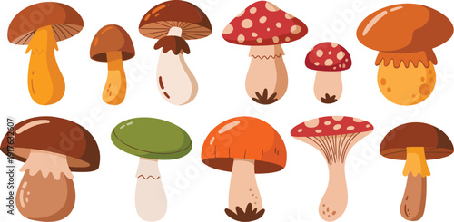 Set of Wild Mushrooms Vector Illustration for Autumn Forest and Nature Design