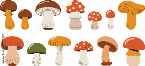 Set of Wild Mushrooms Vector Illustration for Autumn Forest and Nature Design