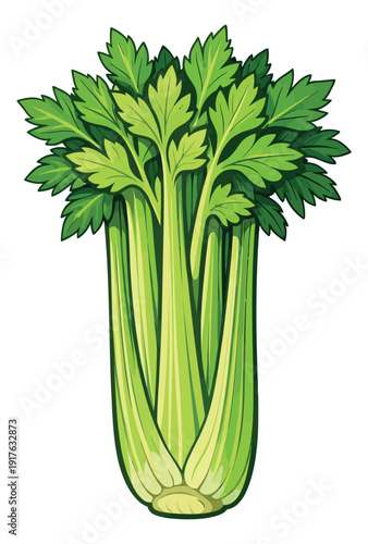 Cartoon illustration of celery depicting a fresh green bunch for healthy eating and cooking