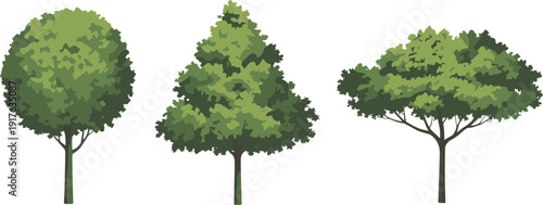 Realistic green leafy trees collection isolated on white background, detailed forest canopy plants flat vector illustration set