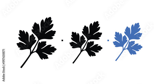 Three parsley sprigs in varying colors a striking silhouette