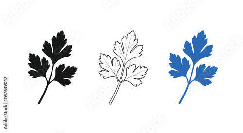 Three parsley leaves in varying colors a striking silhouette
