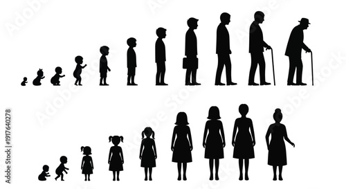 Human life cycle stages depicted in a black silhouette
